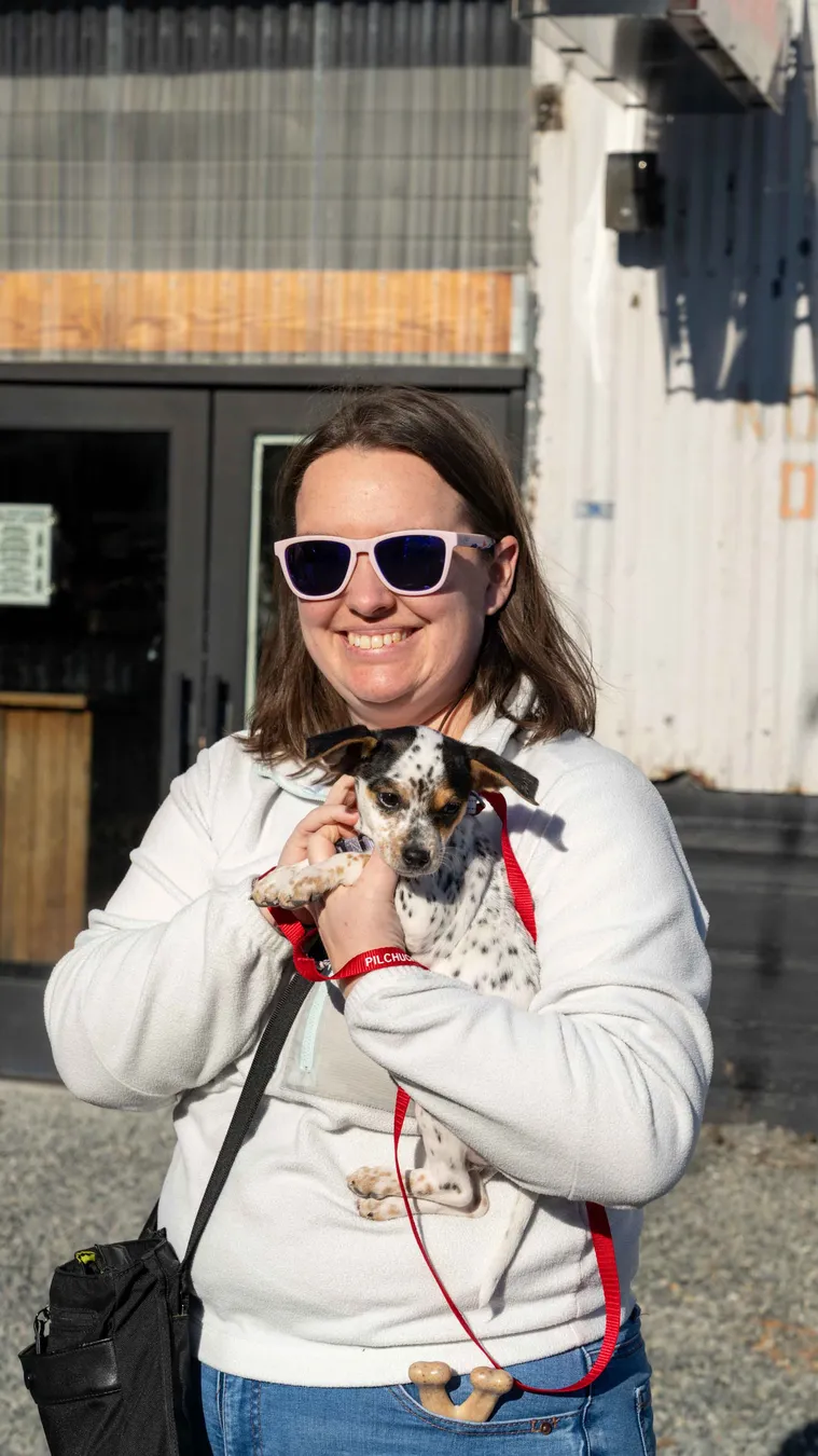 Dog Gone Seattle photo