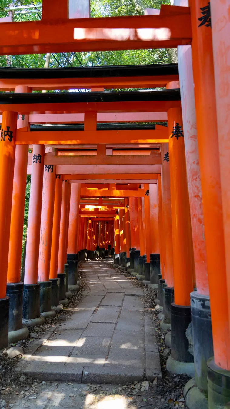 Travel photo